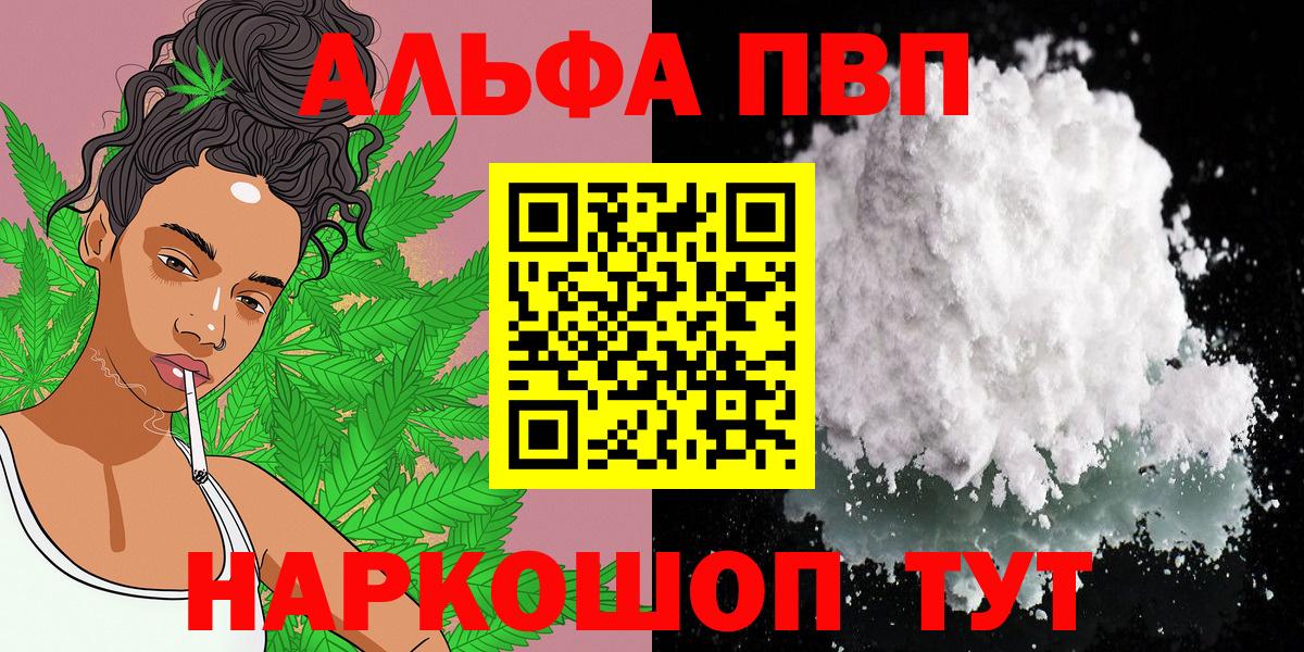 Альфа ПВП СК Туапсе