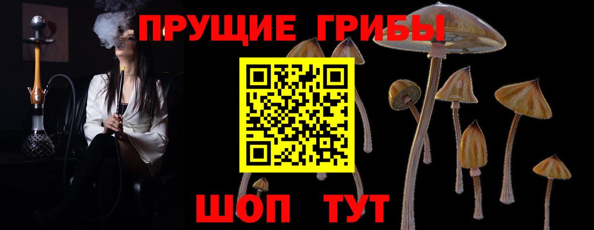 Галлюциногенные грибы MAGIC MUSHROOMS  закладки  Туапсе  Псилоцибиновые грибы MAGIC MUSHROOMS  Вход с VPN 